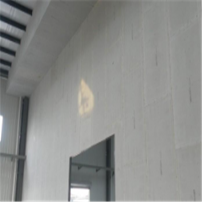 离石宁波ALC板|EPS加气板隔墙与混凝土整浇联接的实验研讨